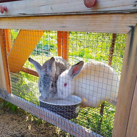 Myparadise-Farm Villa In The Centre Of South Crete カラマキ エクステリア 写真