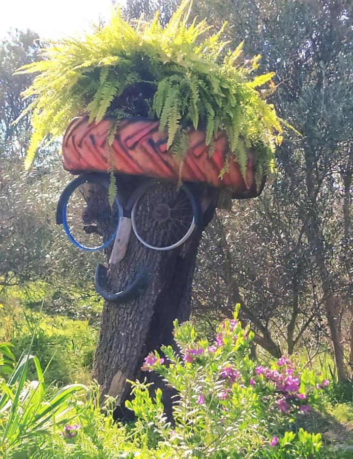 Myparadise-Farm Villa In The Centre Of South Crete カラマキ エクステリア 写真