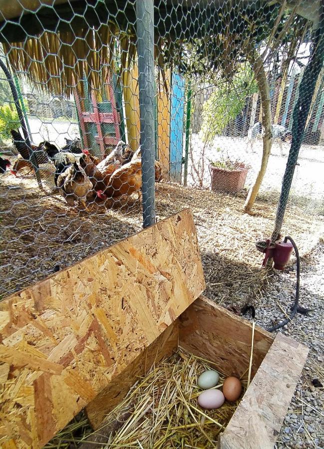 Myparadise-Farm Villa In The Centre Of South Crete カラマキ エクステリア 写真