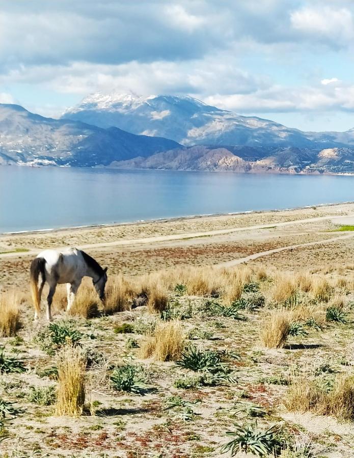 Myparadise-Farm Villa In The Centre Of South Crete カラマキ エクステリア 写真