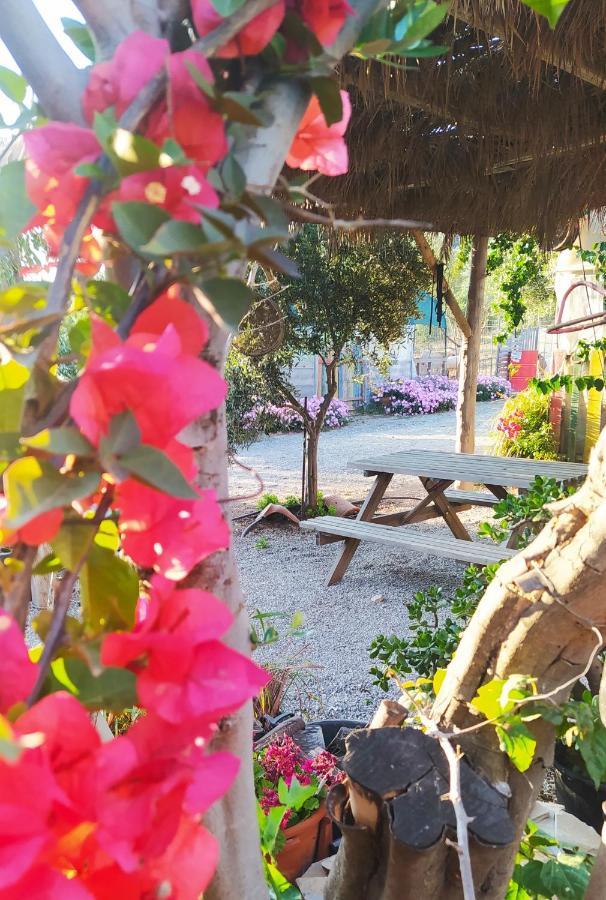 Myparadise-Farm Villa In The Centre Of South Crete カラマキ エクステリア 写真