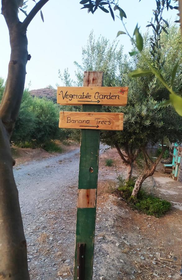 Myparadise-Farm Villa In The Centre Of South Crete カラマキ エクステリア 写真